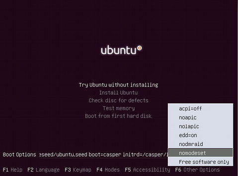 live_ubuntu_parameters2